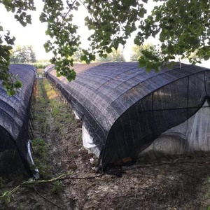 Sun Shade Net Agricultural UV Stabilized Knitted HDPE Shade Cloth for Plants Greenhouse Wholesale Custom Size Factory Supplier - Product Image 3