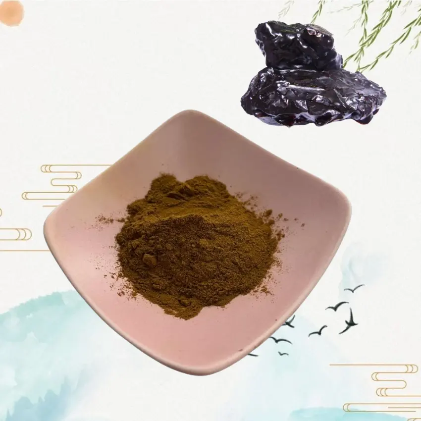 Haosen, suministro de grado alimenticio, extracto de Shilajit negro Natural, polvo de ácido fúlvico