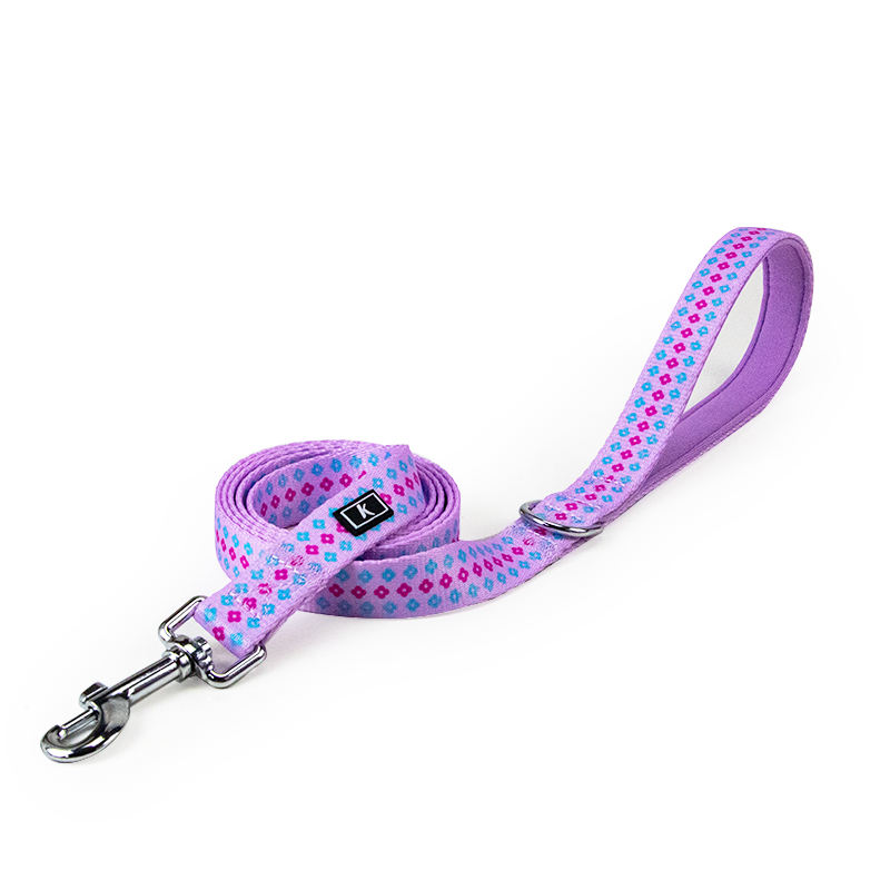 พระอาทิตย์ขึ้น + ดวงอาทิตย์