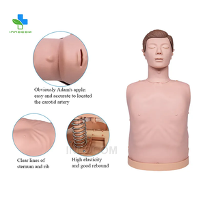 Maniquí de Entrenamiento <span class=keywords><strong>para</strong></span> RCP en Adultos de Medio Cuerpo <span class=keywords><strong>para</strong></span> <span class=keywords><strong>Primeros</strong></span> <span class=keywords><strong>Auxilios</strong></span> y Ciencias Médicas - Product Image 6