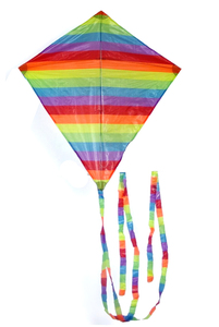 60x70cm Diamond Customized Design <strong>Promotion</strong> Custom Printed <strong>Kite</strong> - Product Image 4