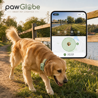 Traceur GPS 4G pour animaux de compagnie avec caméra pour la promenade des chiens et des chats en extérieur, OEM ODM, marque privée, vente en gros et au détail, fournitures pour animaux de compagnie PawGlobe