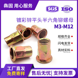 Bengu Color Zinc Hex <b>Rivet</b> <b>Nut</b> M3 M4 M5 M6 M8 Grade A Level 6.8 Q235 Steel Construction Industry - Product Image 5
