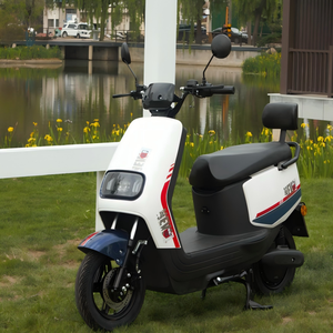 Motocicleta con Motor de 800W y Batería de Litio de 72V, Precio de Fábrica, para Compra al por Mayor - Product Image 4