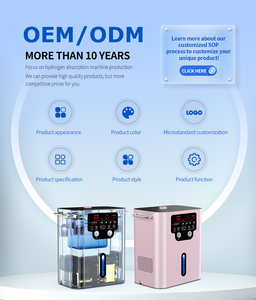Électrolyseur Oxy-Hydrogène PEM <span class=keywords><strong>pour</strong></span> inhalation à vendre, kit inhalateur oxygène, générateur d'hydrogène et d'oxygène PEM, inhalateur 900 ml - Product Image 2