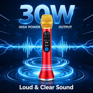 ไมโครโฟนไร้สาย 30W สำหรับโรงงาน ผลิตแบบ OEM ODM ไมค์ไร้สายระดับมืออาชีพ สำหรับคาราโอเกะ ระบบลำโพงไดนามิก - Product Image 2