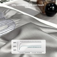Parure de lit quatre pièces en soie glacée rafraîchissante pour l'été, garnissage en fibre de polyester, style moderne et minimaliste, idéale pour les étudiants