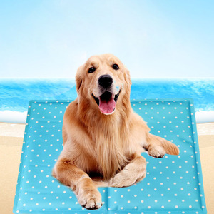 Pet Plastic Matting Blanket Sofa Bed Removable Cover For Custom Dog Cage Pet Gel Cooling Mat