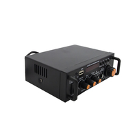 Mini voiture Audio amplificateur de puissance haut-parleur DC 12V 220V BT amplificateur de puissance maison karaoké stéréo professionnel amplificateur Audio récepteur