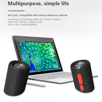 Peakers 2 In 1 Bluetooth Speaker For home