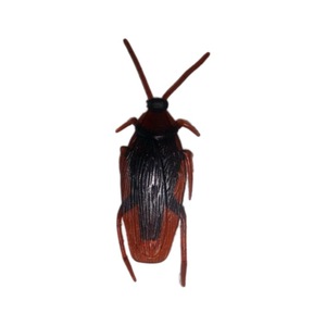 Cafard réaliste en plastique pour Halloween, jouet de farce réaliste pour le Poisson d'avril, 3 cm, pour enfants, style animal - Product Image 5