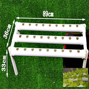 ไซโตไคนินไฮโดรโปนิกปราศจากสารพิษ - Product Image 1