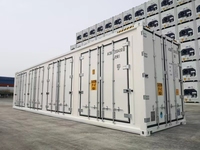BV-gecertificeerde 40ft 40HC blastvriezer reefer container high cube voor transport van vis, fruit en diepvriesproducten