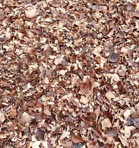 CASQUILLO para BIO FUEL VERANO 2024 SUPER VENTA CALIENTE RESIDUOS AGRÍCOLAS INDUSTRIALES - Product Image 6