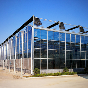Système de serre hydroponique en verre intelligent pour <span class=keywords><strong>tomates</strong></span>, laitues, fraises, fleurs, agriculture en serre, ensemble complet de serre - Product Image 5