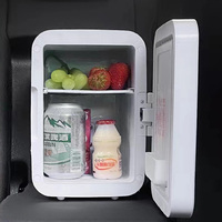 Mini refrigerador portátil de 4L con espejo de maquillaje y luz LED, enfriador eléctrico para camping, nevera de 12V para caravanas.