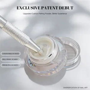 Nouvelle poudre Aurora Chrome pour ongles, paillettes à effet miroir métallique pour la décoration des ongles, pigment en poudre pour la manucure WT - Product Image 2