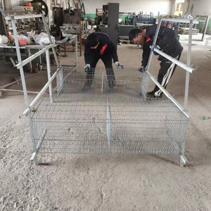 Cages à poulets automatiques multi-niveaux personnalisables pour petites exploitations agricoles - Nouveau système de poulailler durable en acier galvanisé, garantie 2 ans - Product Image 4