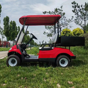 Giá Rẻ Nhất Tuyệt Vời Hill Leo Khả Năng Điện Tiện Ích Xe Tiện Ích Golf Giỏ Hàng Với Nhôm Hộp Hàng Hóa - Product Image 1