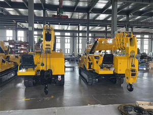 1.2 Ton 3 Ton 5 Ton 10ton Mini Spider Crane Long Boom Spider Lift Telescopic Boom Automatic Crawler Spider Crane with CE - Product Image 6