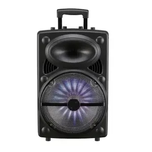 2024 15inch 60w free sample speakers high quality wireless Professional Sound Box Bluetoothesplastic Loud stage Speakers