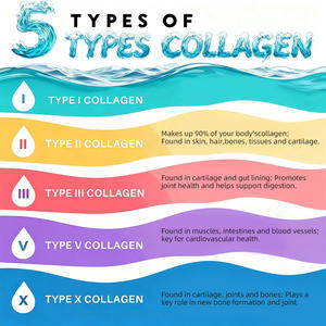 OEM Beauté Naturelle pour Adultes : Complexe Multi-Collagène Végétalien pour l'Éclaircissement de la Peau et la Réduction des Rides, 60 Capsules, 2 Doses Quotidiennes - Product Image 4