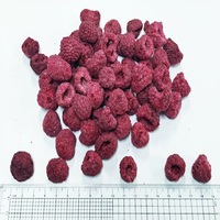 Frutos Secos de Frambuesa Liofilizados, Crujientes y Naturales, Servicio Personalizado, Suministro al por Mayor Directo de Fábrica con Muestra Gratuita