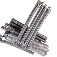 Tuyau d'arrosage ondulé personnalisé DN10 DN25 Ss 304 316L à flexibilité moyenne tuyau en métal à vapeur