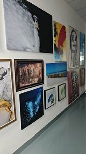 Feuille lenticulaire 3D en plastique écologique de haute qualité avec motif de dessin animé pour la décoration intérieure - Product Image 6