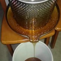 Nouvelle presse à miel manuelle en acier inoxydable de petite et moyenne taille