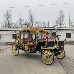 Charrette royale électrique de luxe, charrette tirée par des chevaux, transport spécial pour mariage, charrette royale noire élargie - Product Image 2