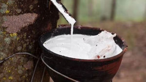 Revestimiento Protector de Grado Industrial de Látex Líquido de Caucho, Resistente a la Corrosión Química, Retardante de Llama, Calidad Alemana - Product Image 4