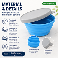 Ensemble de contenants alimentaires en silicone pliables et réutilisables avec bol et couvercle pliables, capacité de 1 à 3 L, boîte à lunch pour enfants, école