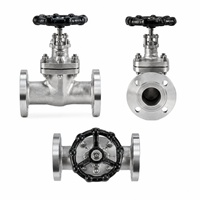 Válvula de Compuerta J41H CF8 Clase 300 de Acero Inoxidable 304 con Brida para Tuberías Industriales, Válvula de Control de Flujo con Sello de PTFE Virgen