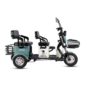 Triciclo Eléctrico Económico de Gran Potencia (800 W) con Carrocería Abierta y 3 Ruedas para Movilidad de Personas Mayores en Oferta - Product Image 2
