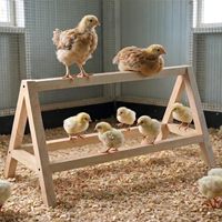 Perchoir en bois naturel pour poussins, barre de repos en bois pour poussins, base stable en A, pour couveuse et enclos d'éducation
