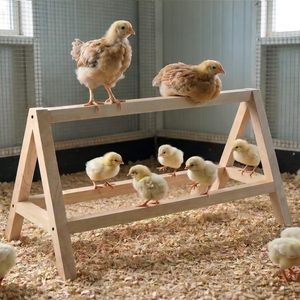 Perchoir en bois naturel pour poussins, barre de repos en bois pour poussins, base stable en A, pour couveuse et enclos d'éducation - Product Image 2