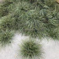 Bouquet de gazon artificiel et pot de roseaux 23-70cm, fausse verdure pour la décoration de la maison et du jardin