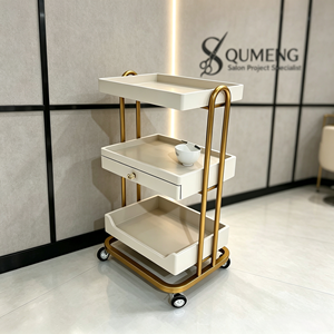Chariot de Salon de Beauté Roulant Multifonctionnel à 4 Roues, Vente Directe Usine Z, Équipement de Maquillage Professionnel - Product Image 1