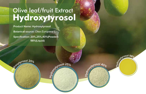 Заводская поставка, оптовая продажа, жидкий порошок для ухода за кожей, Экстракт Оливковых Листьев, 5% - 98% Гидрокситирозол - Product Image 2