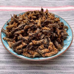 Toptan kurutulmuş Lougu köstebek kriket organik Gryllotalpidae çin tıbbı - Product Image 4