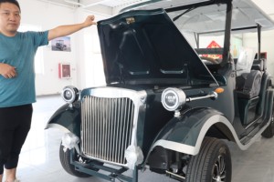 TRANSAUTO Electric new sightseeing car (8 persone) carrello da golf a basso prezzo - Product Image 5