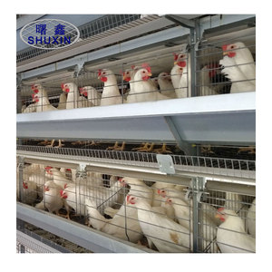 Alta calidad promoción Thinkstock jaula <span class=keywords><strong>de</strong></span> <span class=keywords><strong>pollo</strong></span> <span class=keywords><strong>granja</strong></span> <span class=keywords><strong>de</strong></span> aves <span class=keywords><strong>de</strong></span> corral para la venta - Product Image 4