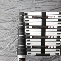 Échelle escamotable moderne double face de 4,4 m en alliage d'aluminium, capacité de charge de 150 kg