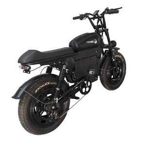 Vélo électrique 20 pouces en acier au carbone avec batterie au lithium fer phosphate, assistance au pédalage électronique sans balais, 7 vitesses, moyeu arrière 48V double - Product Image 6