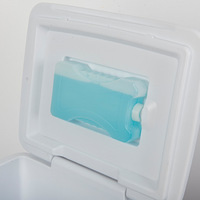 Glacière portable de camping verte 15L avec sac à glace et emballage personnalisé pour la pêche et la conservation au frais des plats à emporter