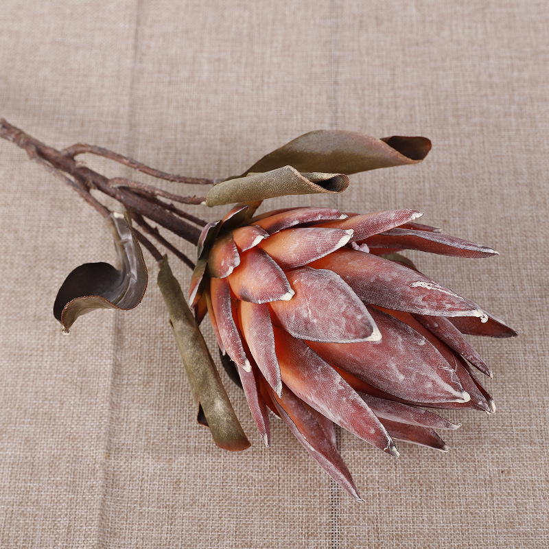 Small King Protea [Red]