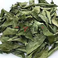 Déshydrateur de fruits de mer et de viande, machine de séchage des feuilles de Moringa, équipement de séchage des produits de la mer, vente directe usine