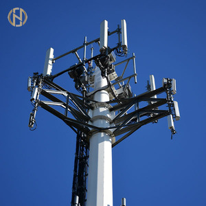 Galvanized Gsm Repeater Indoor Antenna Tower Pole Communication FT-TX- 0 416, HG-TT-15-60m Antenna Pole FT-TX- 0 416, HG-TT-15-6 - Product Image 2