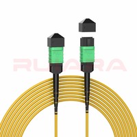 Câble Trunk RUIARA RR-MPO-50 MTP MPO OM3 OM4 OM5 OS2 à Fibre Optique Haute Densité à Faible Perte pour Centre de Données (Conducteur GOF)